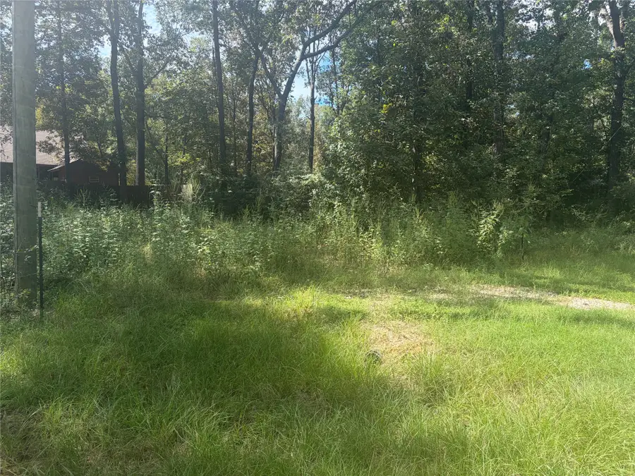 333 Beaver Run, Livingston, TX 77351 - #2