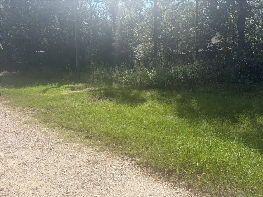 333 Beaver Run, Livingston, TX 77351 - #3