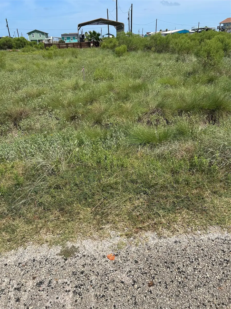 647 Flamingo Street, Sargent, TX 77414 - #2