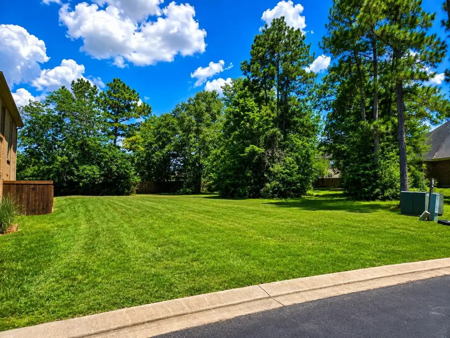 12367 Pebble View Drive, Conroe, TX 77304 - #2