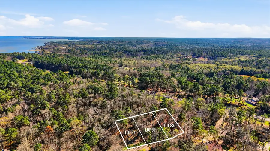 Lots 81, 82, & 83 Lake Oaks Circle, Coldspring, TX 77331 - #2