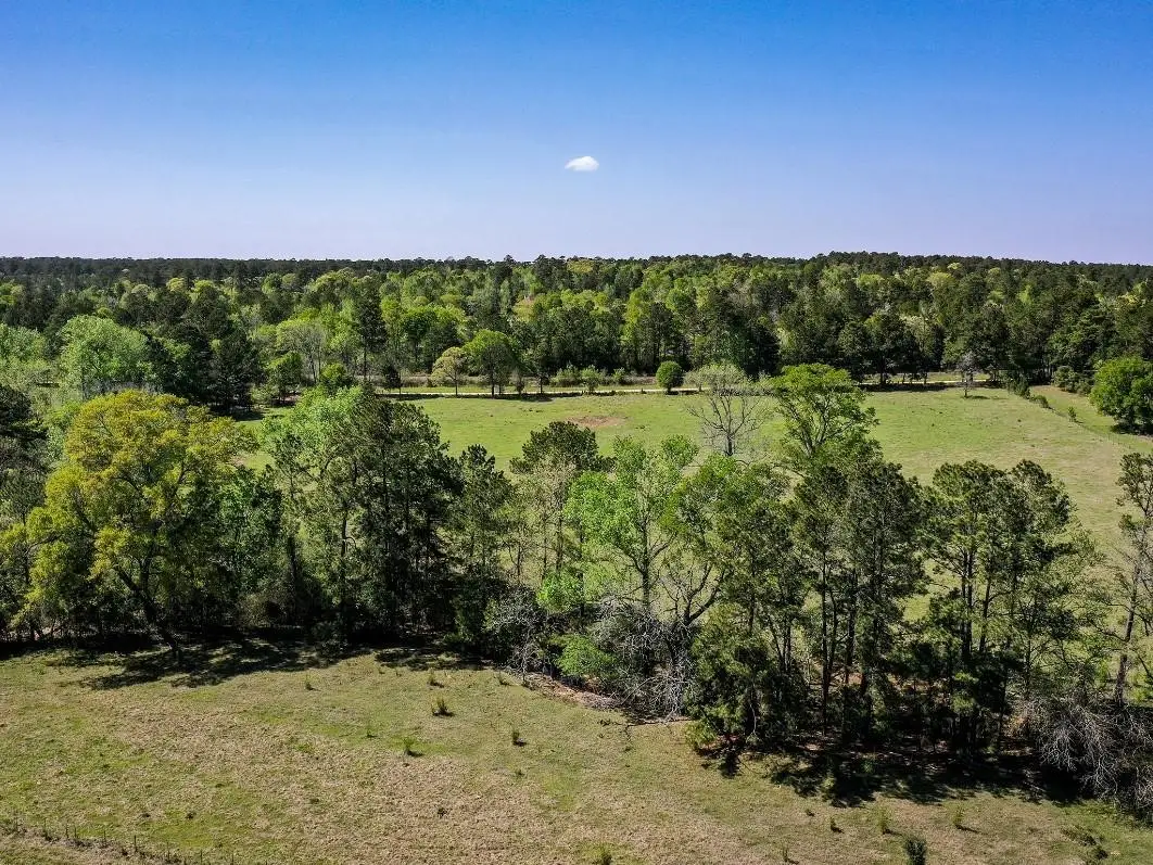 0 Black Jack Cemetery Road, Huntsville, TX 77340 - Image #1