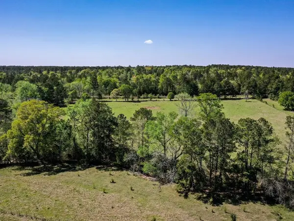 0 Black Jack Cemetery Road, Huntsville, TX 77340