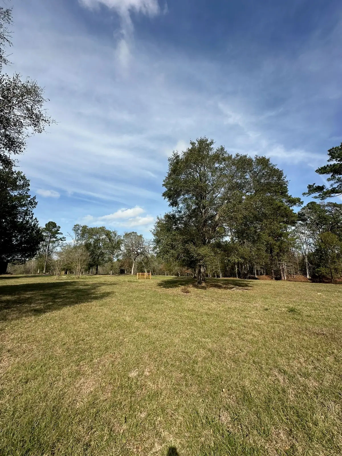 4761 Jackson Road, Montgomery, TX 77316 - #1