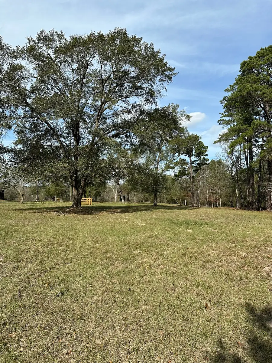 4761 Jackson Road, Montgomery, TX 77316 - #2