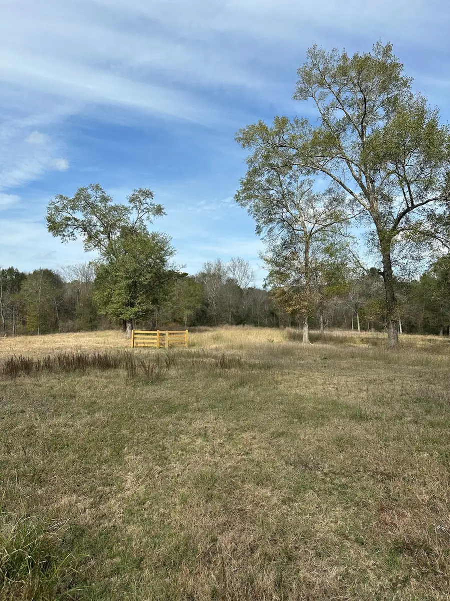 4761 Jackson Road, Montgomery, TX 77316 - #3