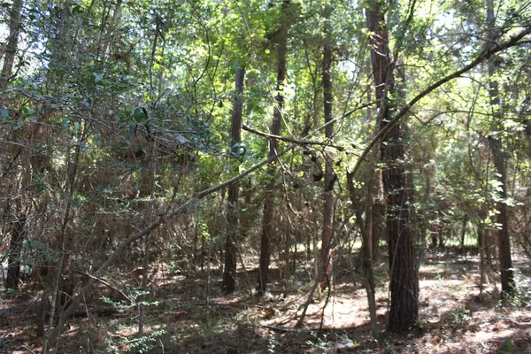 TBD 0magnolia, Trinity, TX 75862