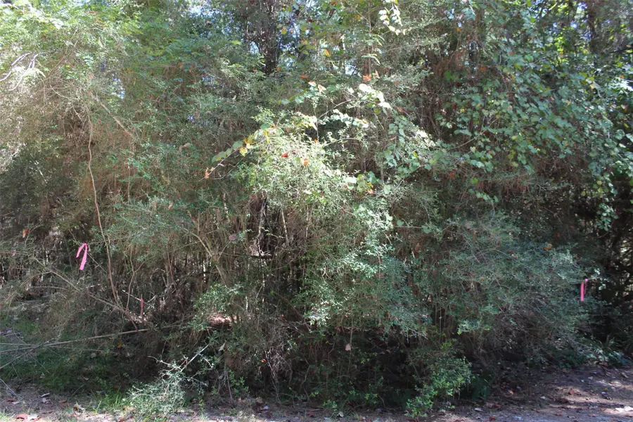 TBD 0magnolia, Trinity, TX 75862 - Image #2