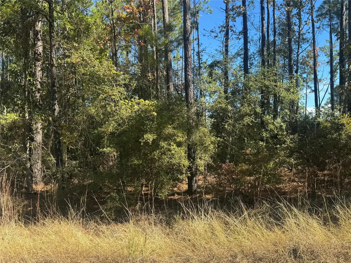 004 County Road 219, Brookeland, TX 75931 - #1