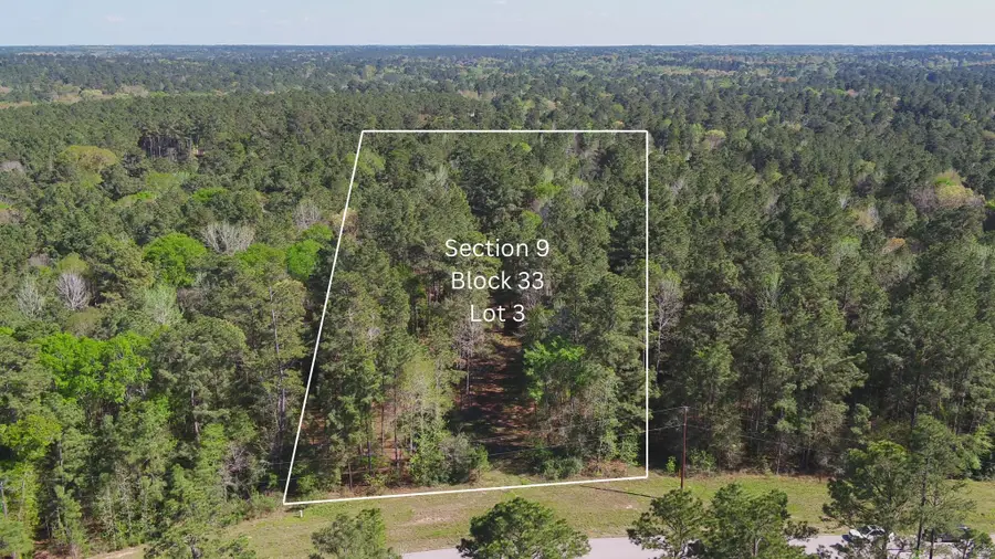 000 Bighorn Road, Huntsville, TX 77358 - #2