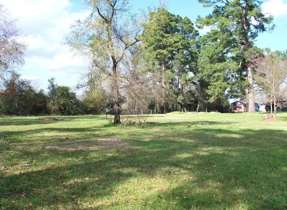 0 E Oak Ridge Drive, Point Blank, TX 77364 - #1