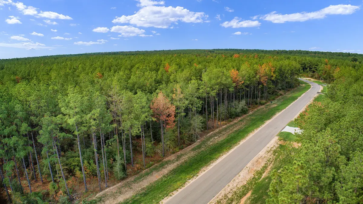 10886 Ruger Road, Willis, TX 77378 - #1