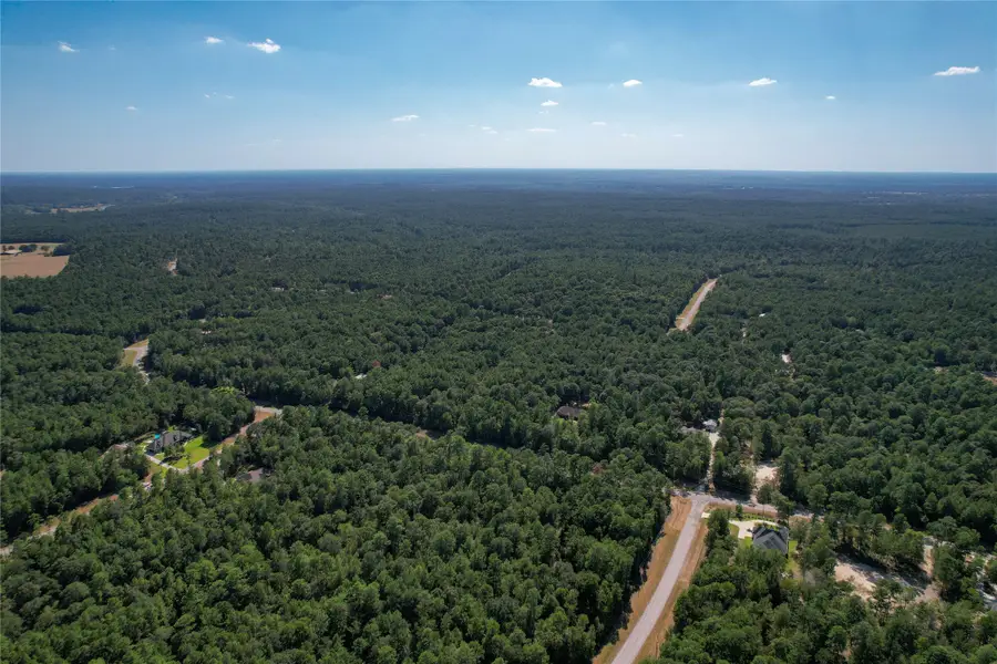 TBD Shadowlane Court, Huntsville, TX 77340 - #2