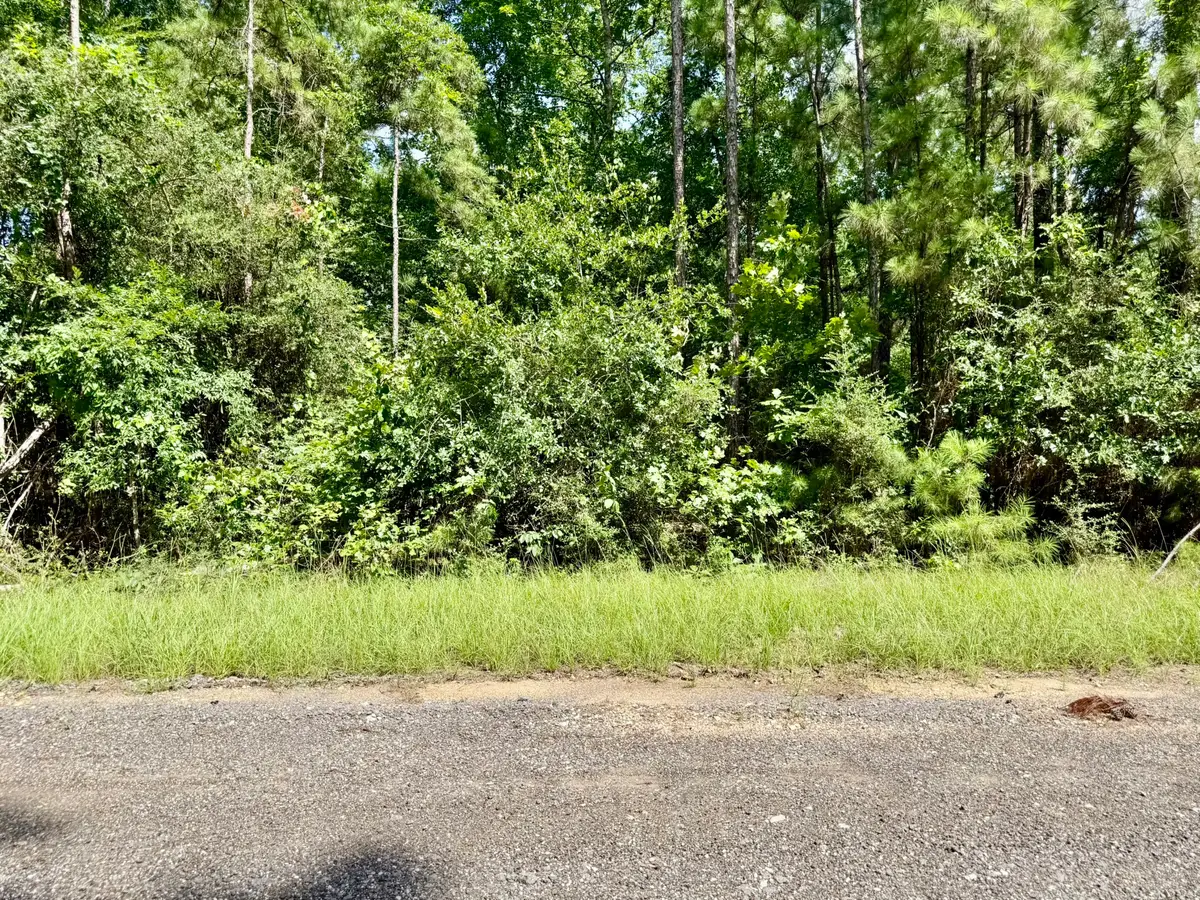 TBD Spring Creek Drive, Coldspring, TX 77331 - #1