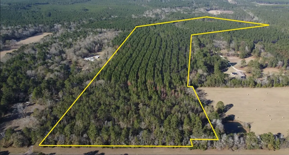 TBD Us-287 W W, Corrigan, TX 75939 - Image #1