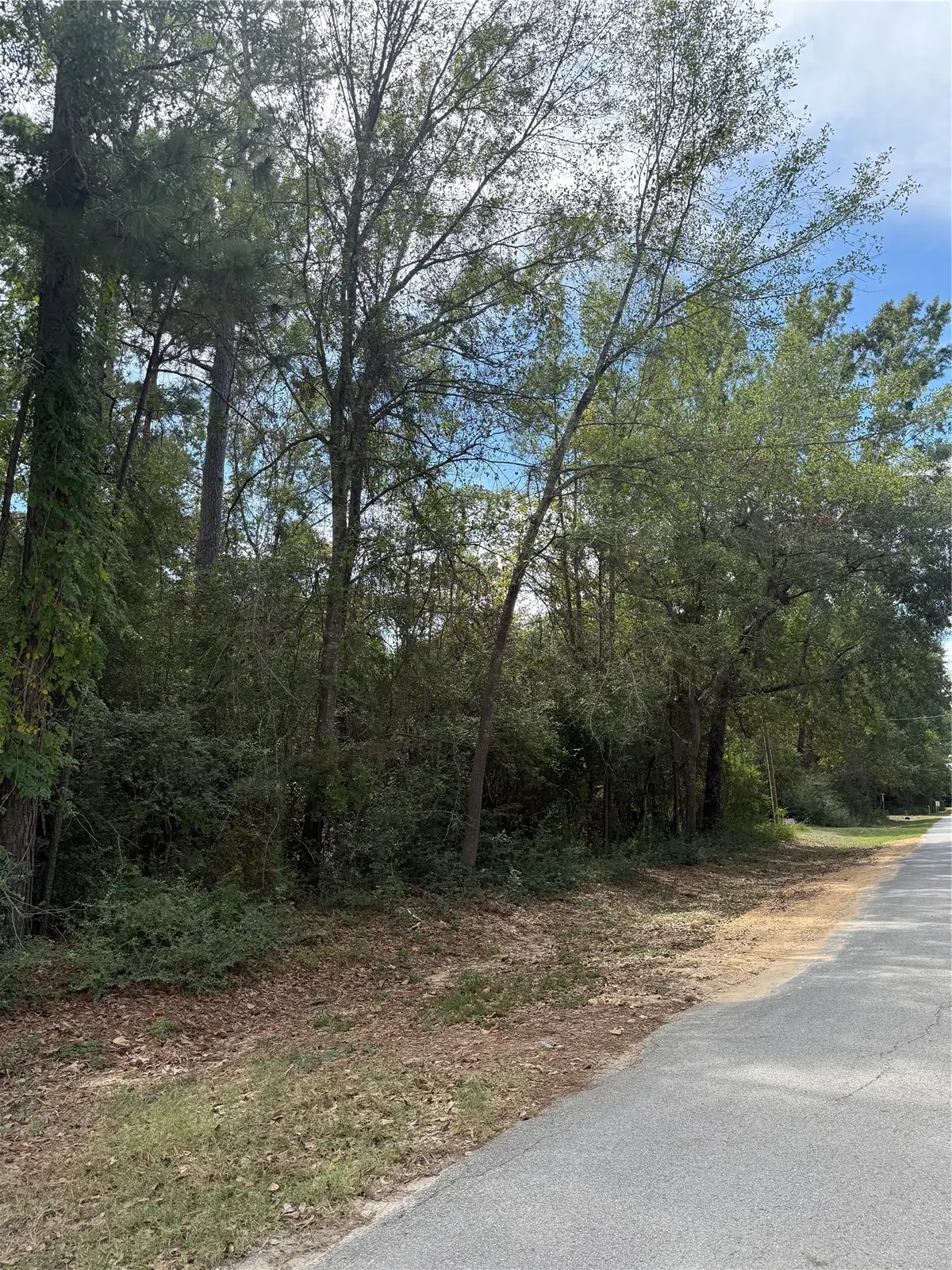 TBD Sequoia Lane, Onalaska, TX 77360 - #1
