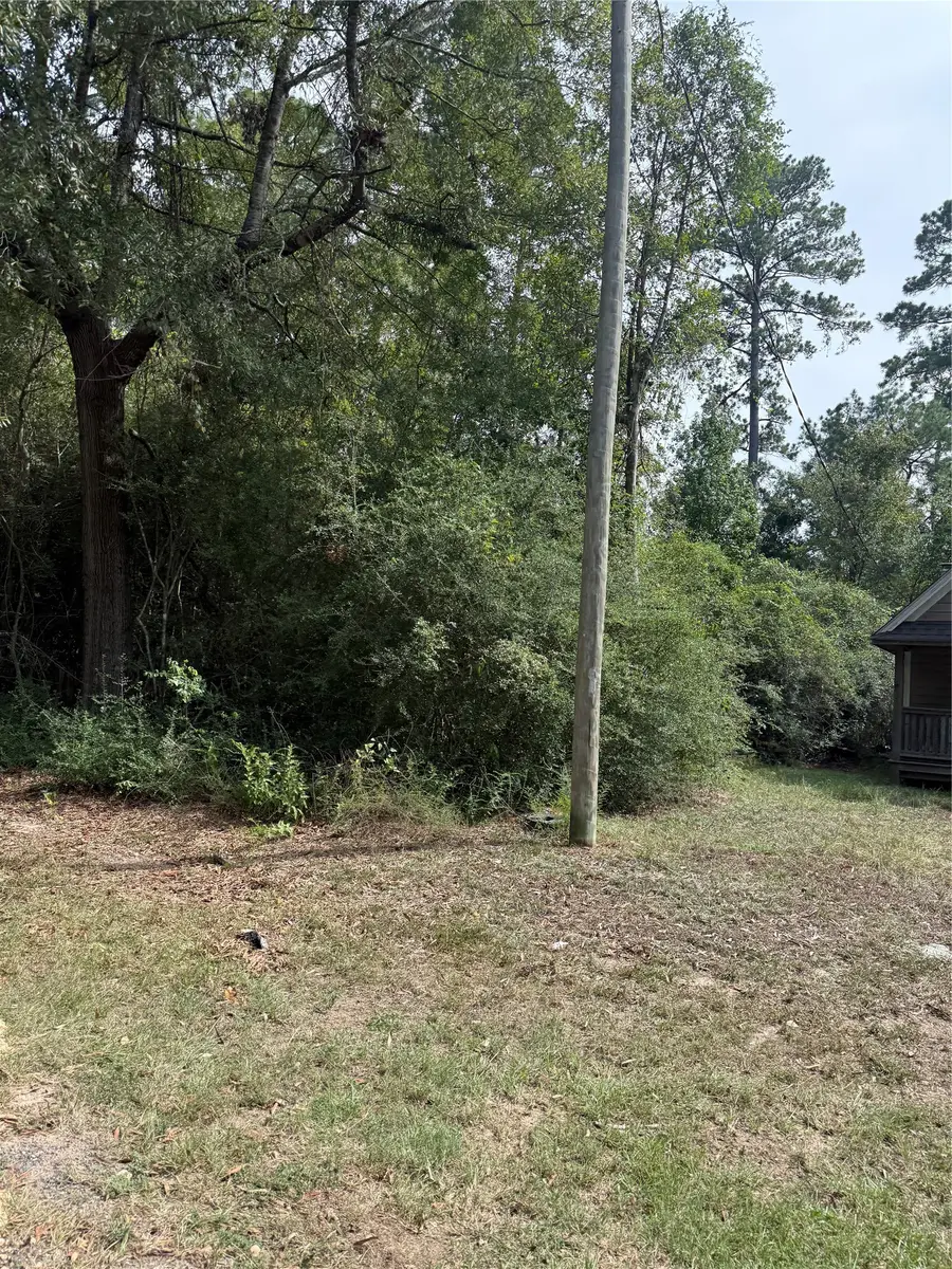 TBD Sequoia Lane, Onalaska, TX 77360 - #3