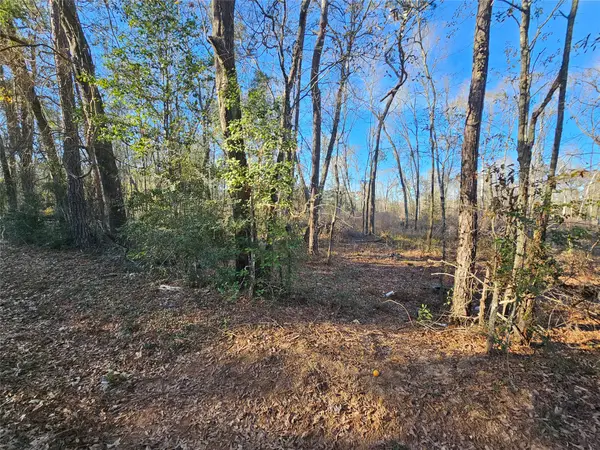 Lot 4 Sherwood Drive, Shepherd, TX 77371