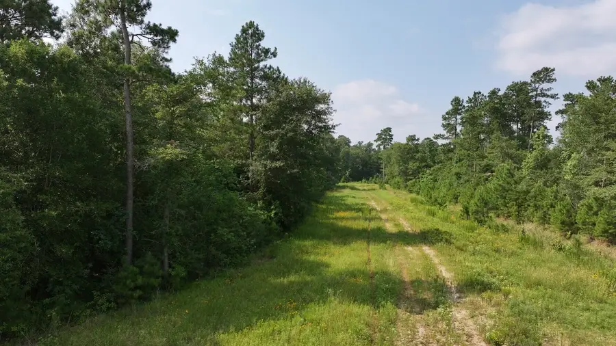 TB D Broadway Ave, Conroe, TX 77385 - Image #3