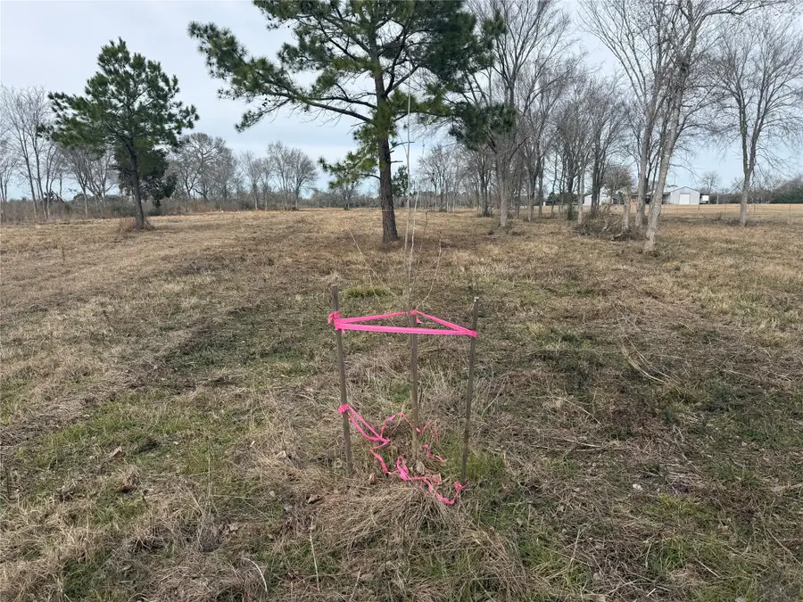 32186 Howell Road, Waller, TX 77484 - Image #2