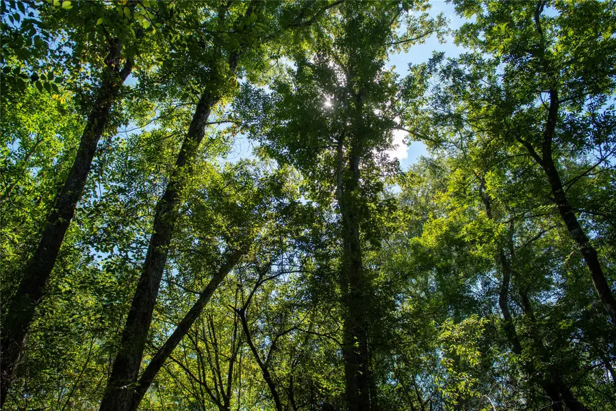 0 Us-59, Diboll, TX 75939 - Image #3