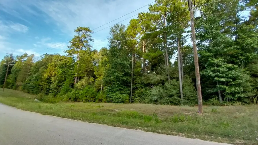 Lot 7 Inscription Lane, Huntsville, TX 77340 - #3