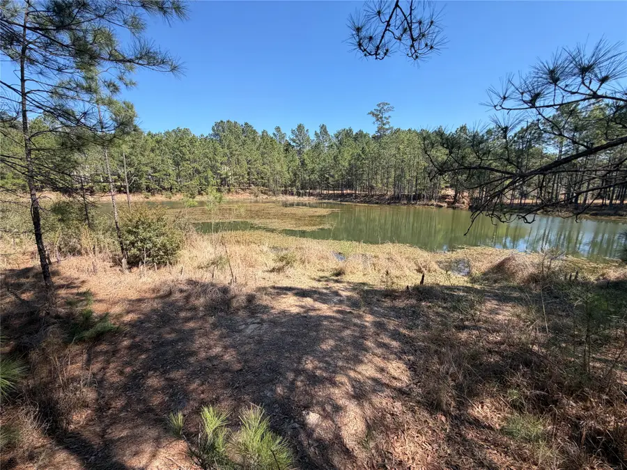 11604 Kirstens Court, Montgomery, TX 77316 - #2