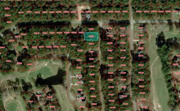0000 W Wildwood Drive, Village Mills, TX 77663