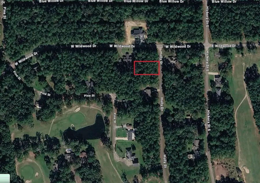 0000 W Wildwood Drive, Village Mills, TX 77663 - #2