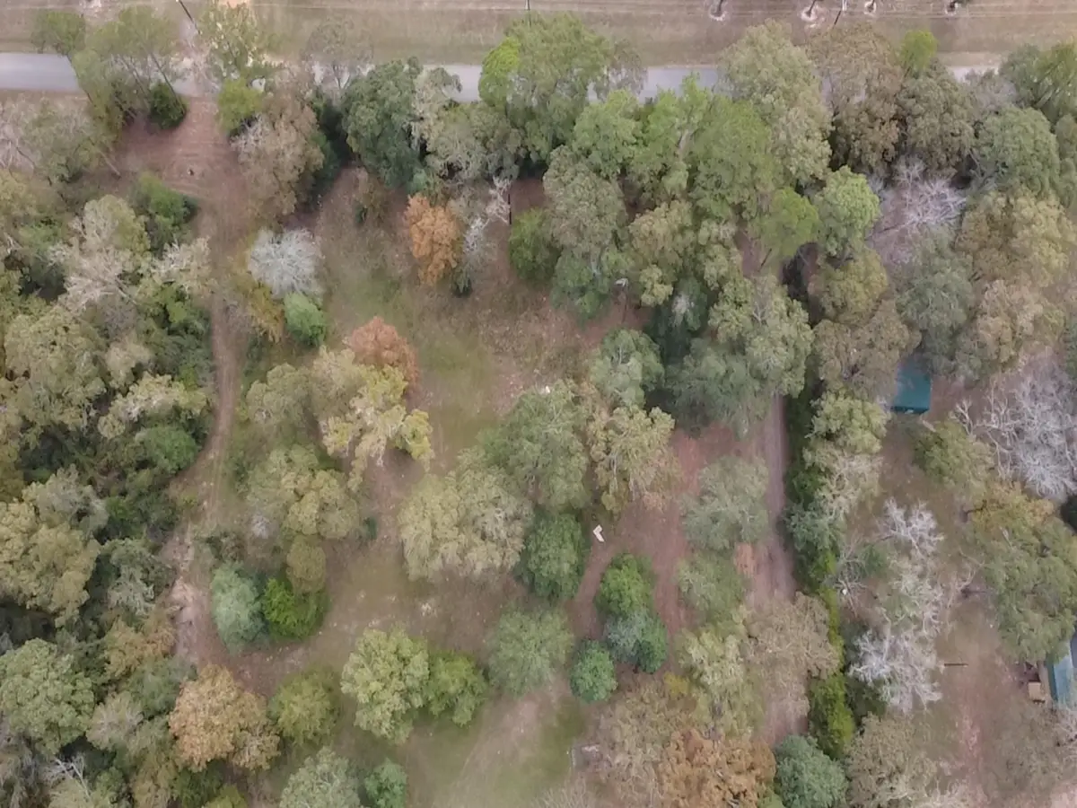 TBD Magnolia Drive, Conroe, TX 77303 - Image #1