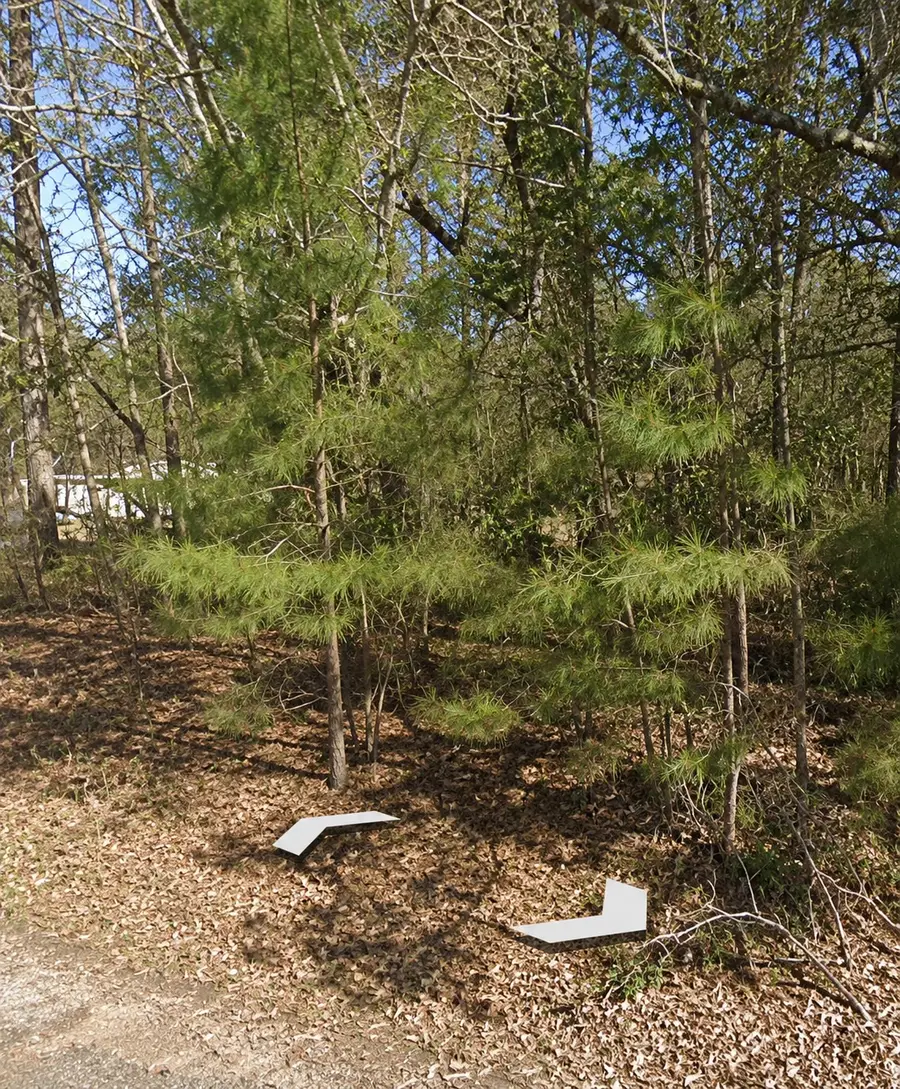 0 E Julia Belle Drive, Livingston, TX 77351 - #2
