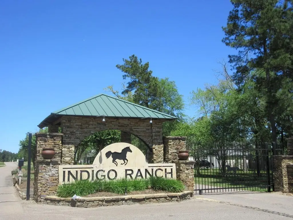 27010 Bridleway Circle, Magnolia, TX 77355 - #1