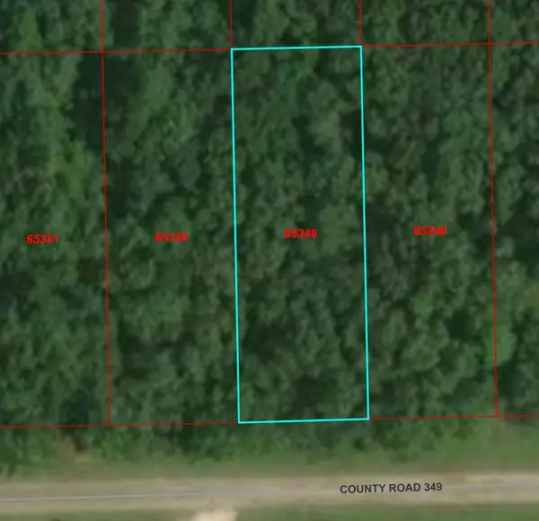TBD County Rd 349, Cleveland, TX 77327