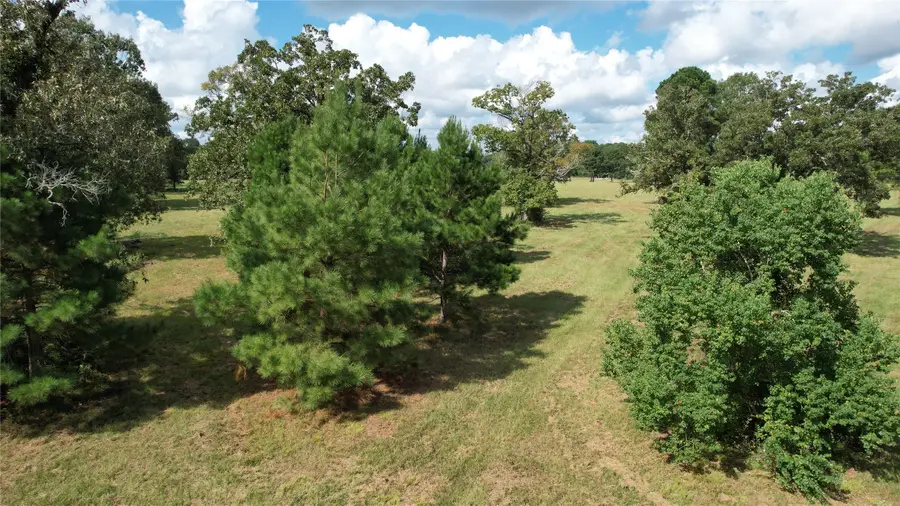 914 Jones Road, New Waverly, TX 77358 - #3