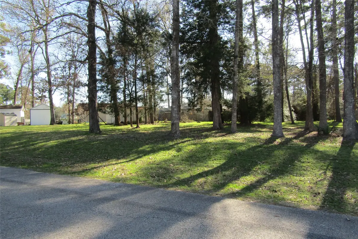 00 Shady Lane, Livingston, TX 77351 - #1