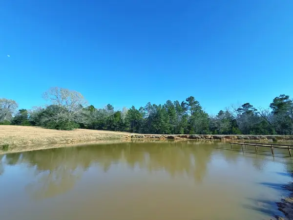 87 ac Cr 2471, Oakwood, TX 75855