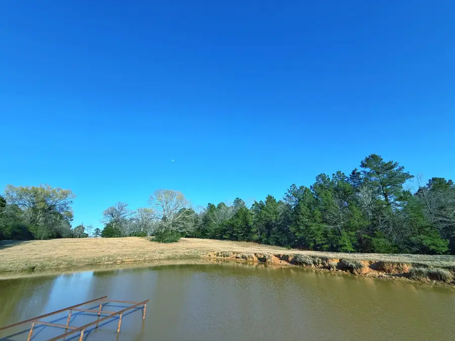 87 ac Cr 2471, Oakwood, TX 75855 - #3