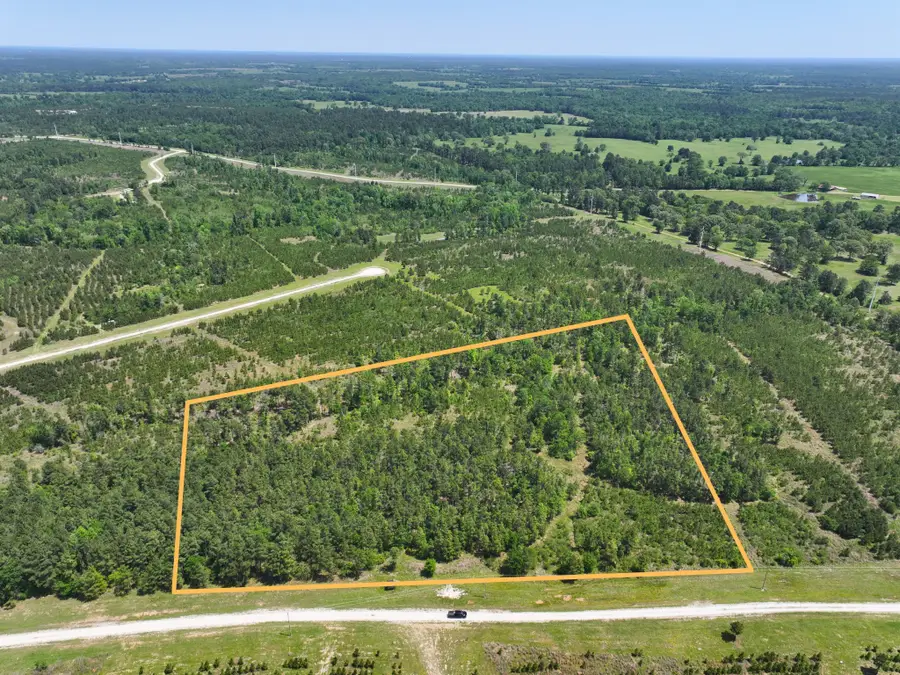 1 Lost Creek Road, Lovelady, TX 75851 - #2