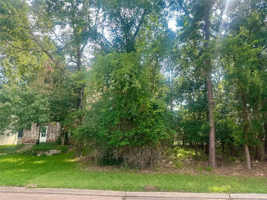 3146 Poe Drive, Montgomery, TX 77356 - #2