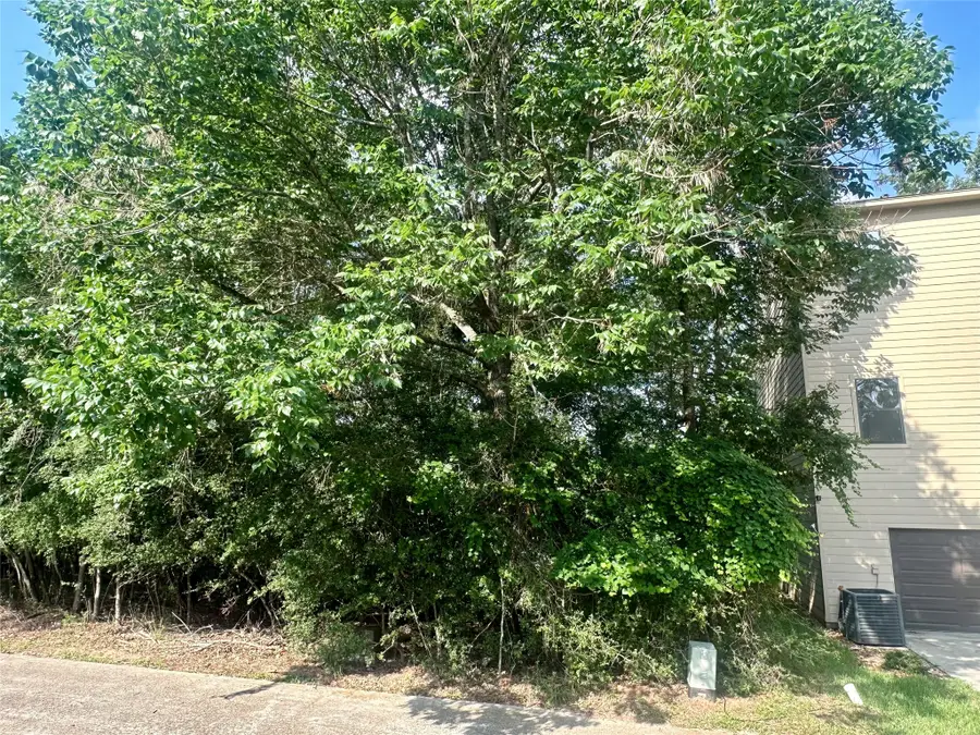 3146 Poe Drive, Montgomery, TX 77356 - #3