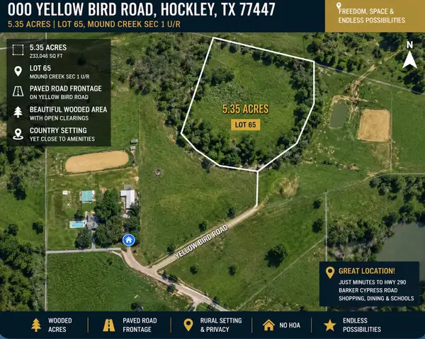 000 Yellow Bird Road, Hockley, TX 77447