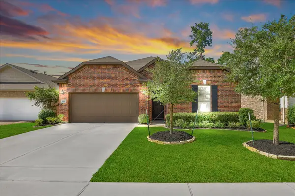 3893 Eagle Nest Lake Lane, Magnolia, TX 77354
