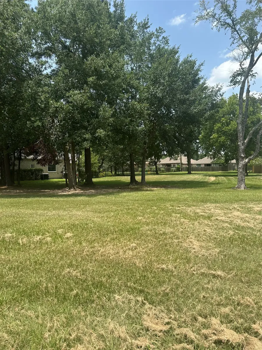 13053 Point Aquarius, Willis, TX 77318 - #3