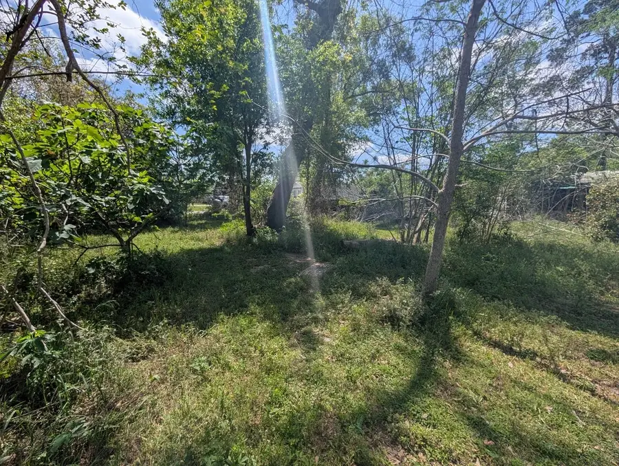 19970 Live Oak Burr Drive, Porter, TX 77365 - #3