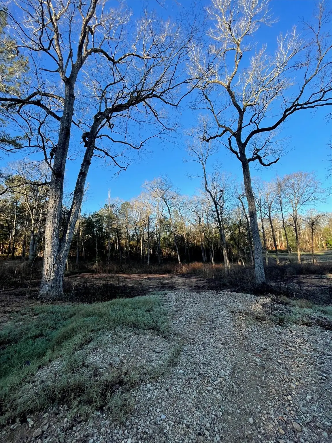 11357 Annie Creek Drive, Willis, TX 77378 - #1