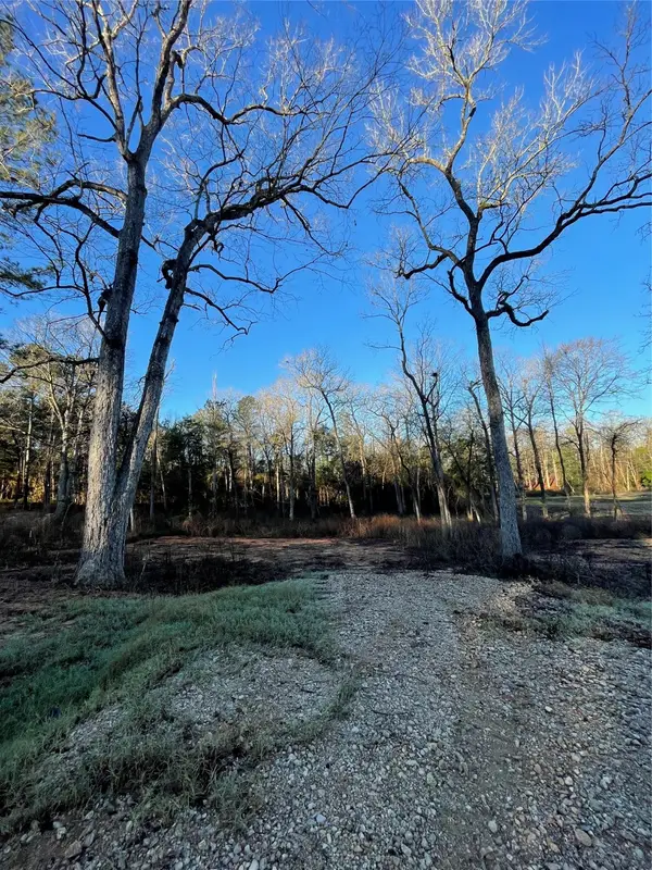 11357 Annie Creek Drive, Willis, TX 77378