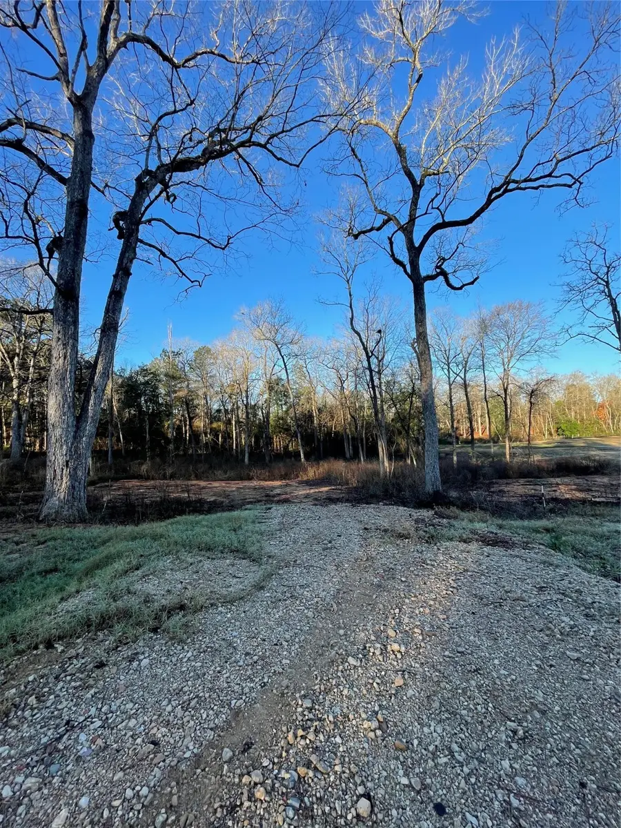 11357 Annie Creek Drive, Willis, TX 77378 - #3