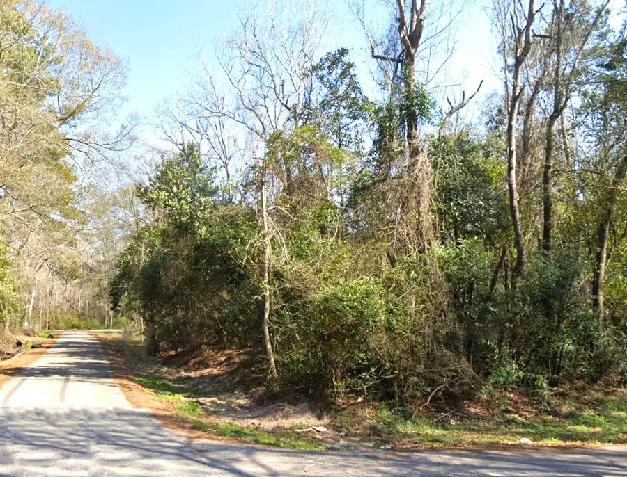 20807 Glenwood Road, New Caney, TX 77357 - #2