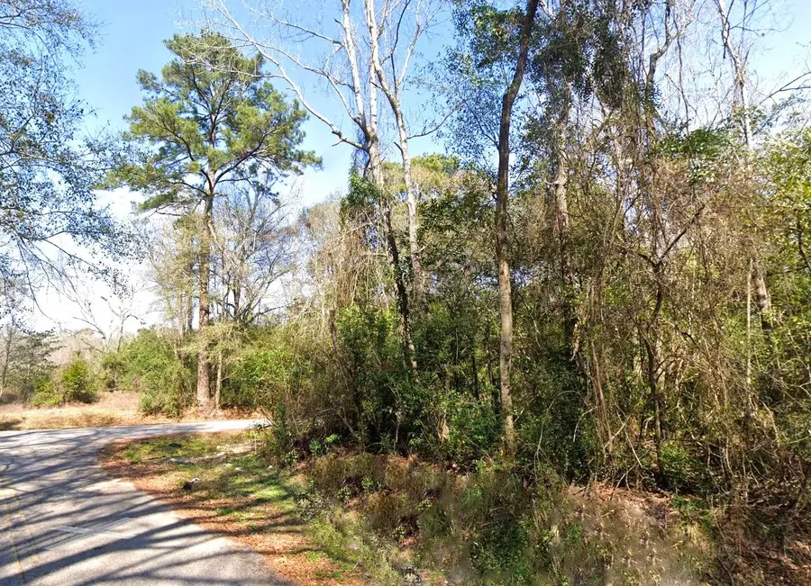 20807 Glenwood Road, New Caney, TX 77357 - #3