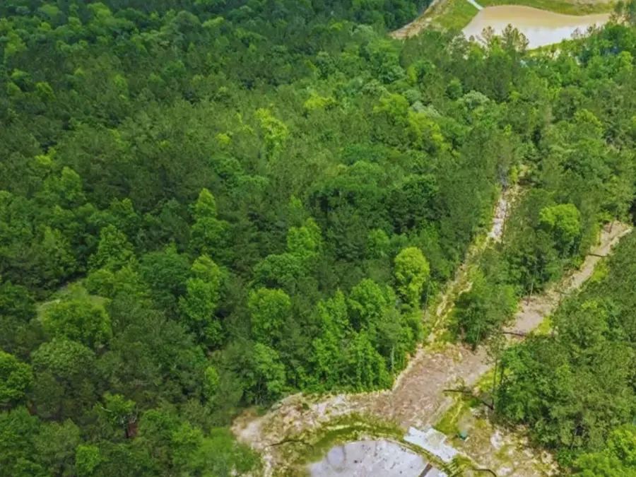 7500 Lonesome Ridge, Montgomery, TX 77316 - Image #2